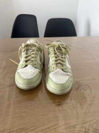 Nike Dunk Low Verde y Blanco