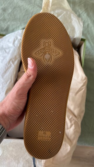 Zapatillas Gucci Cuero Originales