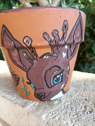 Pianta grassa in vaso terracotta decorato