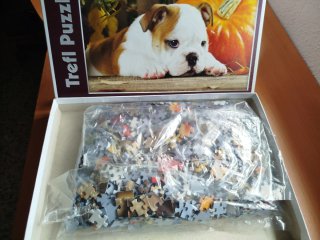 Puzzle 1000 piezas perro