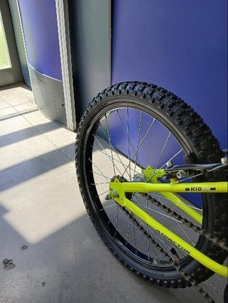 Atractor Niño 20 ''