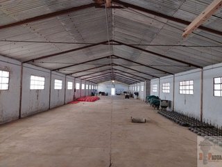 Nave industrial en venta en Campillos