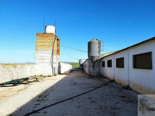 Nave industrial en venta en Campillos