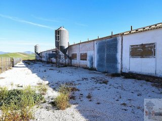 Nave industrial en venta en Campillos