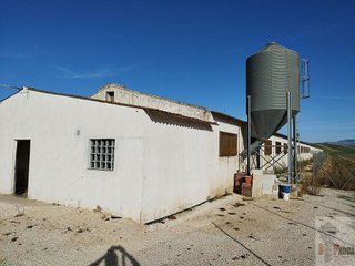 Nave industrial en venta en Campillos