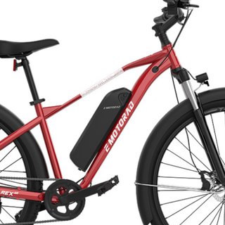 Bicicleta eléctrica de montaña Emotorad 29'' T-Rex Air 2.0