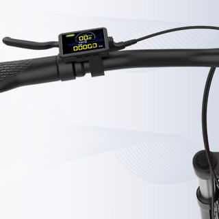 Bicicleta eléctrica de montaña Emotorad 29'' T-Rex Air 2.0