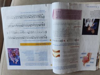 Libro Music In Tune - Richmond Santillana