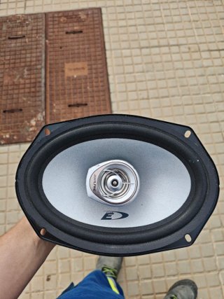 Altavoces Alpine Tipo E Ovalado y circular