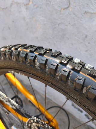 Orbea Wild H10 Aluminio