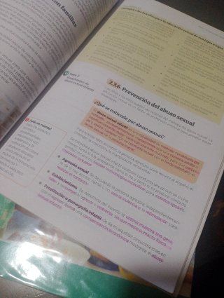 Desarrollo socioafectivo servicios sociocultura...