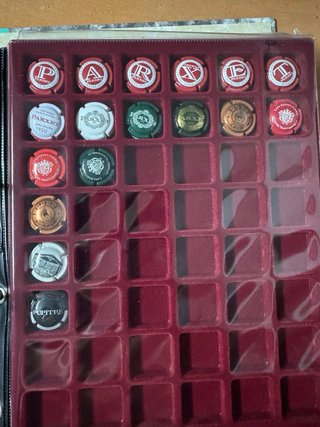 Collezione di tappi cava/champagne