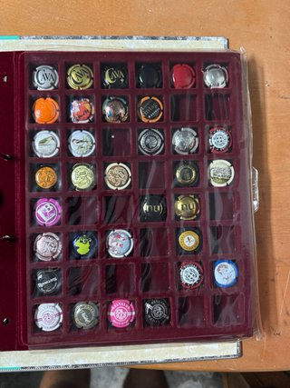 Collezione di tappi cava/champagne