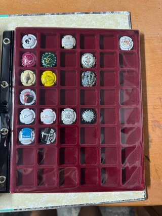 Collezione di tappi cava/champagne