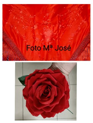 Mantoncillo flamenca rojo bordado y flor