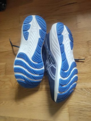 Zapatillas Asics Gel Windhawk 5 Azul/Blanco