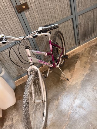 Bicicletta per bambina poco usata