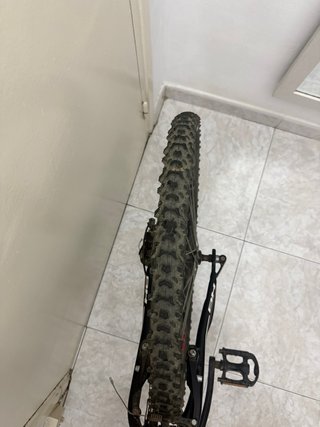 Bicicleta BH Spike