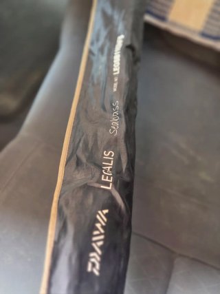 Caña de pesca Daiwa Legalis Seabass