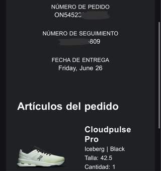 Zapatillas On Cloudpulse Pro Talla 42.5