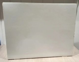 PS4 Pro 1TB Blanca con caja original