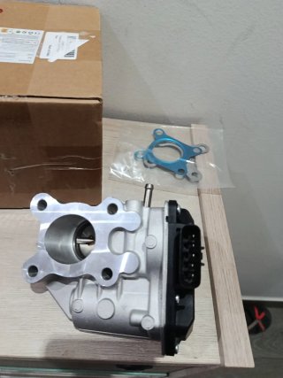Válvula EGR Nissan