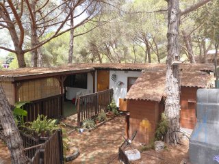 Módulo camping