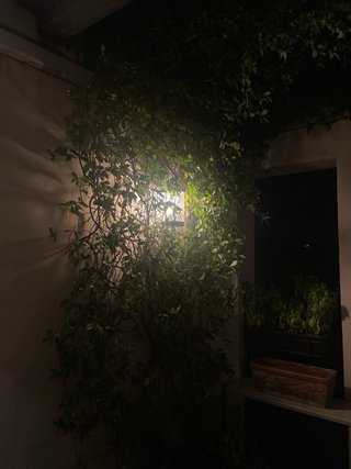 Coppia di Applique da Esterni LED Lucande