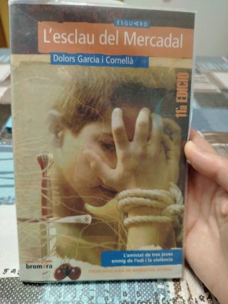 L'esclau del Mercadal