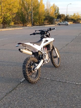 Husqvarna TE310