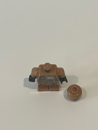 Lego Ninjago Zane Echo