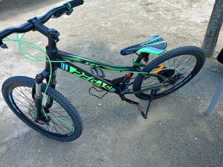 Bicicleta Pegasus 24