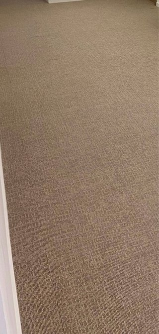 50 m2 de moqueta