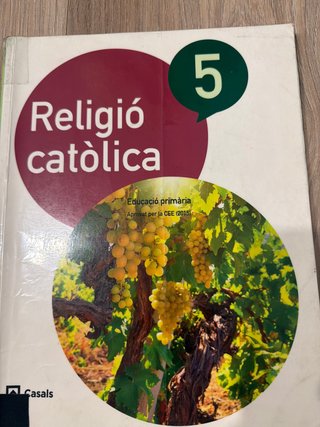 Religió catòlica, 5 Educació Primària
