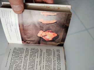 PRONTUARIO AVICOLA