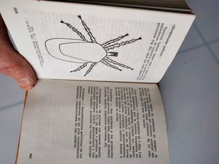 PRONTUARIO AVICOLA