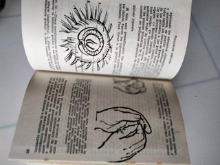 PRONTUARIO AVICOLA