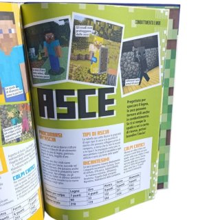 Libro Minecraft: Giga Trucchi e Segreti