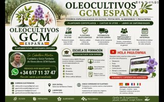 Fincas de cultivos varios