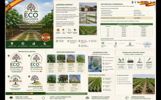 Fincas de cultivos varios