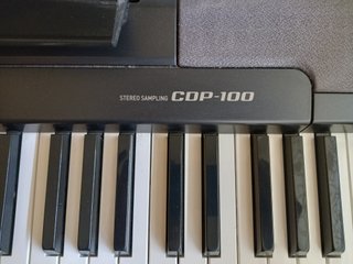 Piano Digital Casio CDP-100 nero