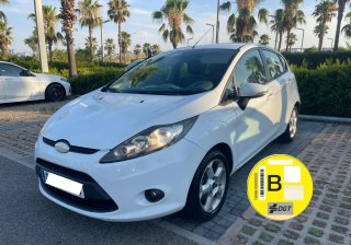 Ford Fiesta 2010 pegatina B 1.4tdci