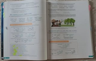 Lengua Castellana y Literatura. 2 Bachillerato....