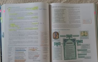 Lengua Castellana y Literatura. 2 Bachillerato....