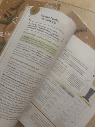 Conocimiento del Medio, Ciencias de la Naturale...
