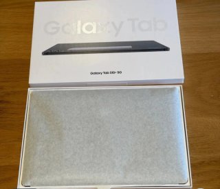 Samsung Galaxy Tab S10+ 5G Gris 256GB