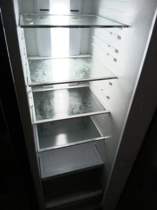 Nevera combi plateada