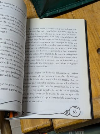 Las aventuras del joven Einstein