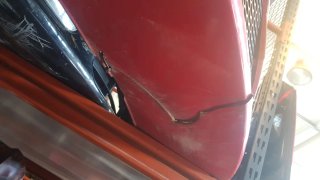 Parachoques Seat León MK2 FR Rojo