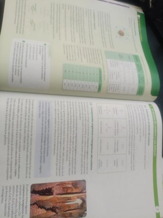Física y química 1 Bachillerato